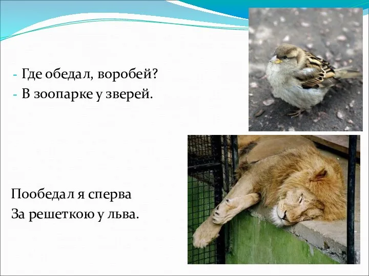 Где обедал, воробей? В зоопарке у зверей. Пообедал я сперва За решеткою у льва.