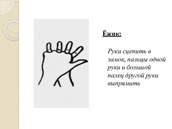 Ёжик: Руки сцепить в замок, пальцы одной руки и большой палец другой руки выпрямить