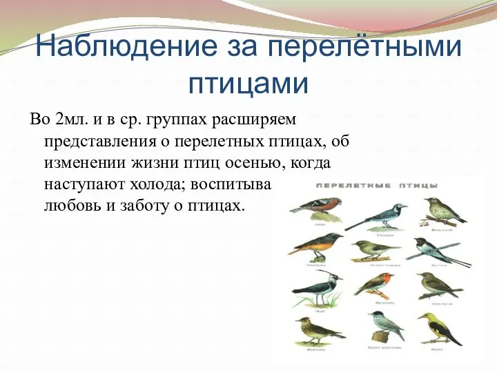 Наблюдение за перелётными птицами Во 2мл. и в ср. группах