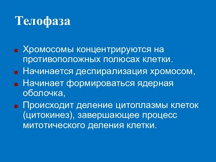 Телофаза Хромосомы концентрируются на противоположных полюсах клетки. Начинается деспирализация хромосом,