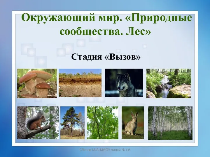 Сбоева М.А. МАОУ лицей №135 Окружающий мир. «Природные сообщества. Лес» Стадия «Вызов»