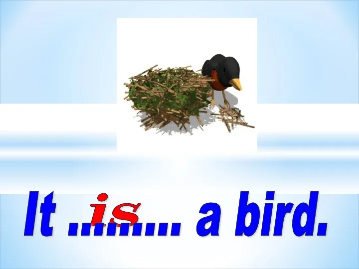 is It ......... a bird.