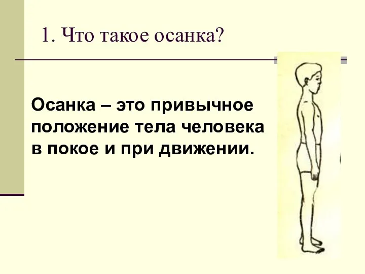 1. Что такое осанка? Осанка – это привычное положение тела человека в покое и при движении.