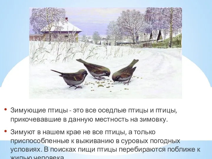 Зимующие птицы - это все оседлые птицы и птицы, прикочевавшие