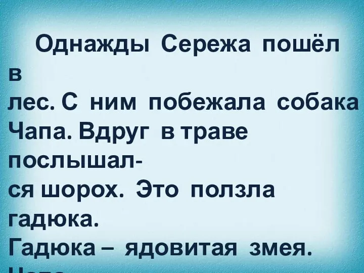 Однажды Сережа пошёл в лес. С ним побежала собака Чапа.