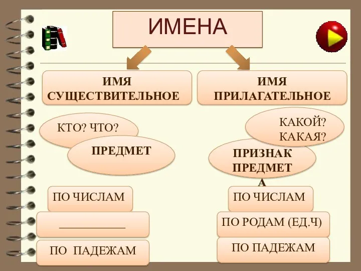 ИМЕНА ИМЯ СУЩЕСТВИТЕЛЬНОЕ ИМЯ ПРИЛАГАТЕЛЬНОЕ ПРИЗНАК ПРЕДМЕТА КТО? ЧТО? ПРЕДМЕТ