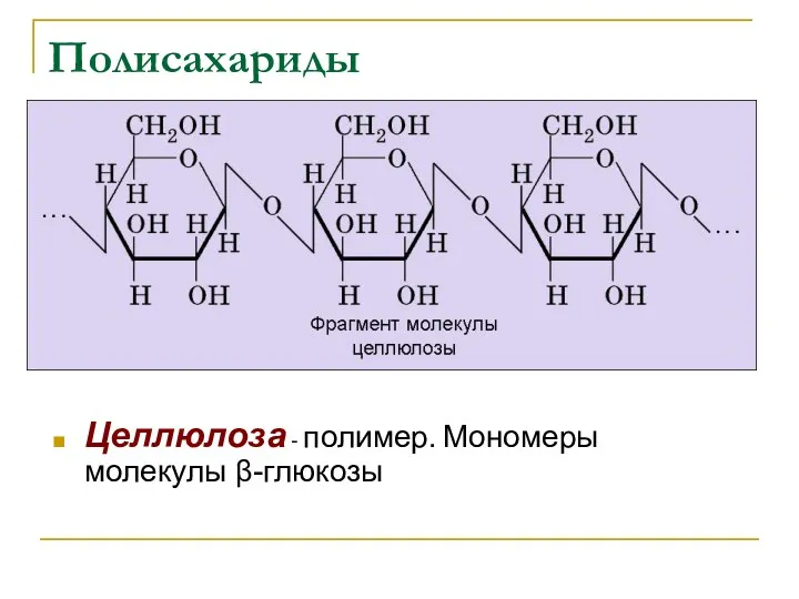 Полисахариды Целлюлоза - полимер. Мономеры молекулы β-глюкозы