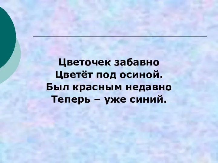 Цветочек забавно Цветёт под осиной. Был красным недавно Теперь – уже синий.