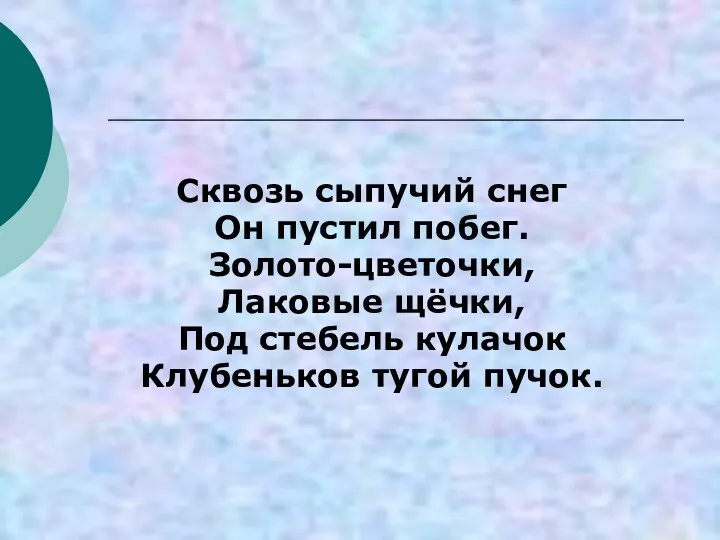 Сквозь сыпучий снег Он пустил побег. Золото-цветочки, Лаковые щёчки, Под стебель кулачок Клубеньков тугой пучок.