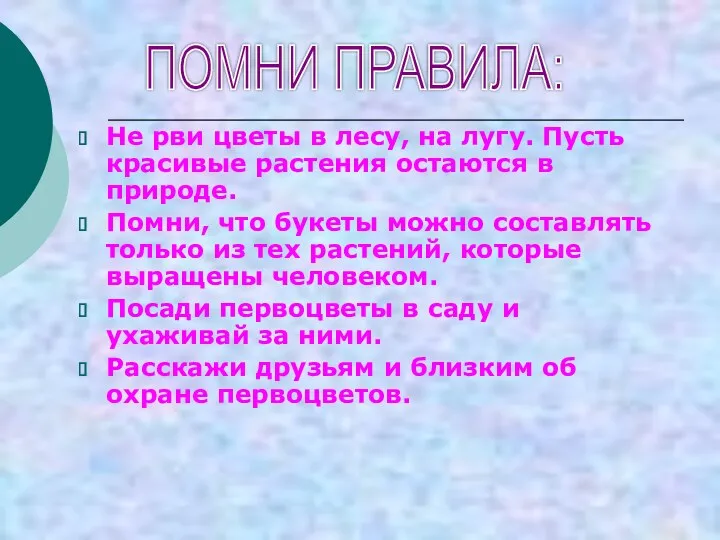 Не рви цветы в лесу, на лугу. Пусть красивые растения остаются в природе.