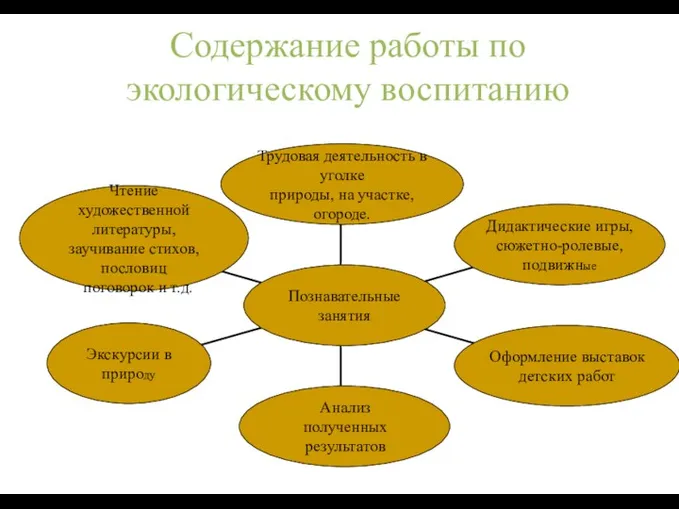 Содержание работы по экологическому воспитанию