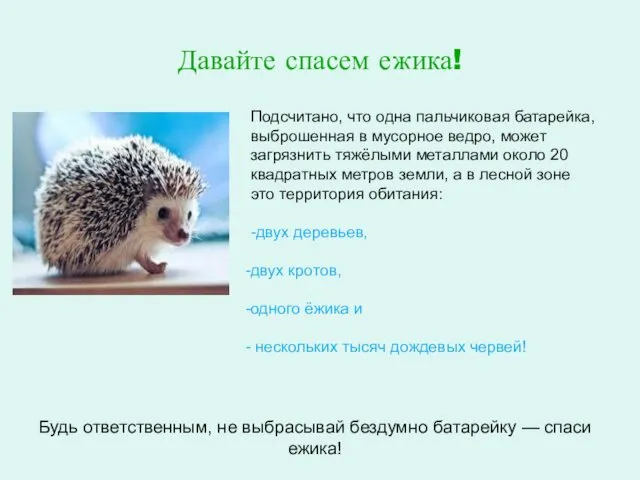 Давайте спасем ежика! Подсчитано, что одна пальчиковая батарейка, выброшенная в