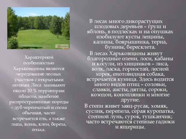 Характерной особенностью Харьковщины является чередование лесных участков с открытыми полями.