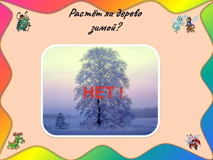 Растёт ли дерево зимой? НЕТ !