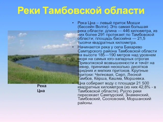 Реки Тамбовской области Река Цна – левый приток Мокши (бассейн
