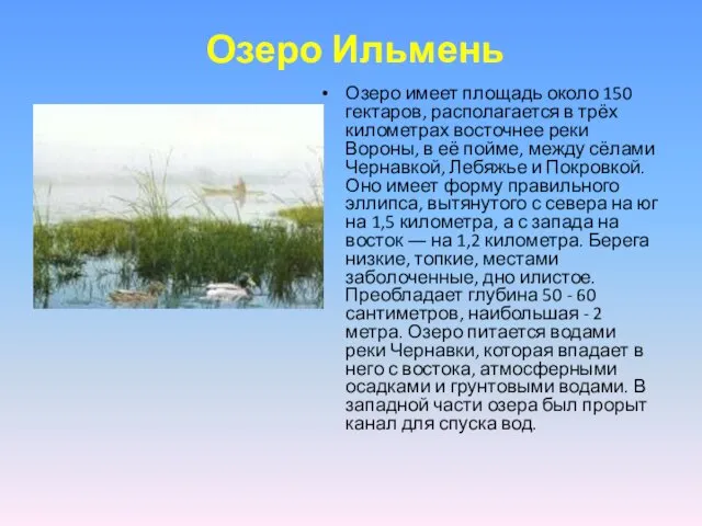 Озеро Ильмень Озеро имеет площадь около 150 гектаров, располагается в