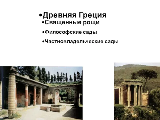 Древняя Греция Священные рощи Философские сады Частновладельческие сады