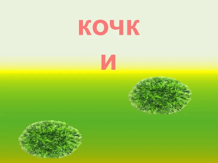 кочки