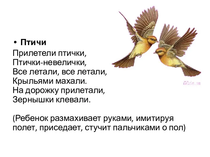 Птичи Прилетели птички, Птички-невелички, Все летали, все летали, Крыльями махали. На дорожку прилетали,