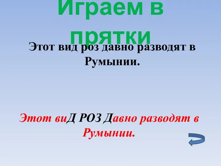 Играем в прятки Этот виД РОЗ Давно разводят в Румынии.