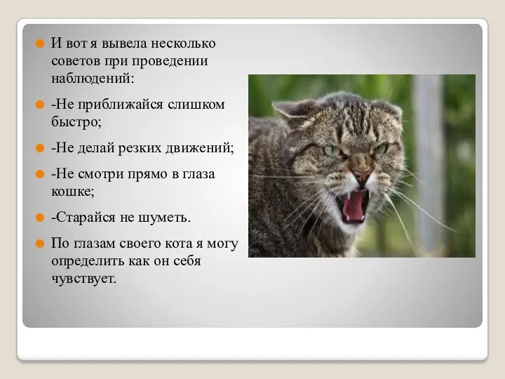 И вот я вывела несколько советов при проведении наблюдений: -Не