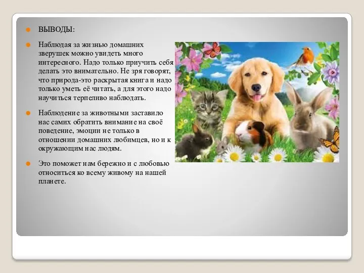 ВЫВОДЫ: Наблюдая за жизнью домашних зверушек можно увидеть много интересного.