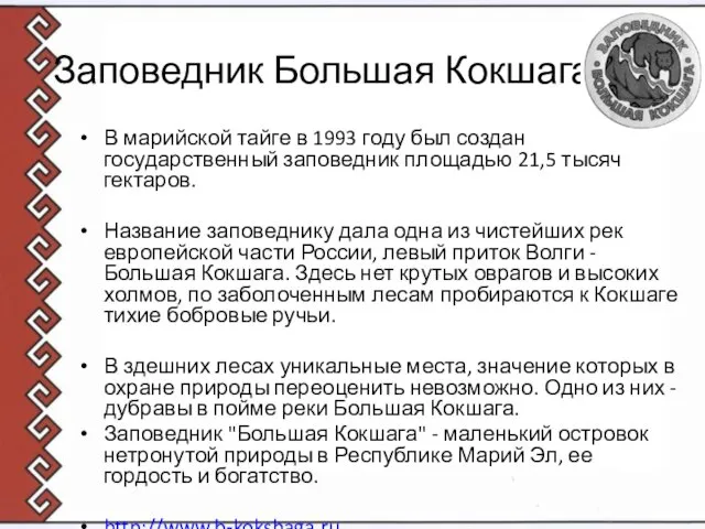 Заповедник Большая Кокшага В марийской тайге в 1993 году был