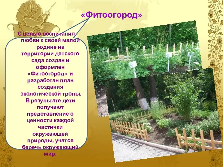 «Фитоогород» С целью воспитания любви к своей малой родине на территории детского сада