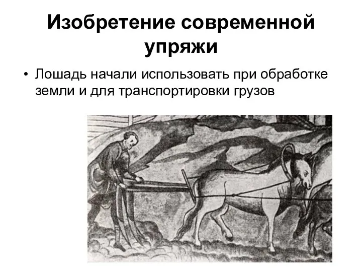 Изобретение современной упряжи Лошадь начали использовать при обработке земли и для транспортировки грузов