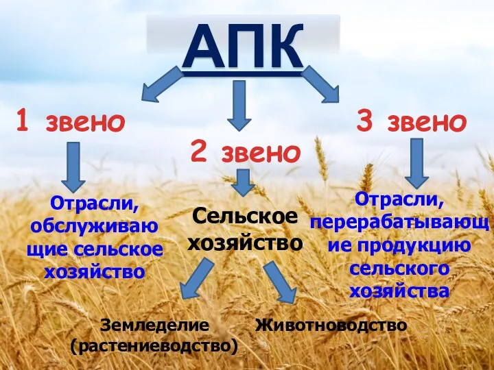 АПК 1 звено 2 звено 3 звено Отрасли, обслуживаю щие