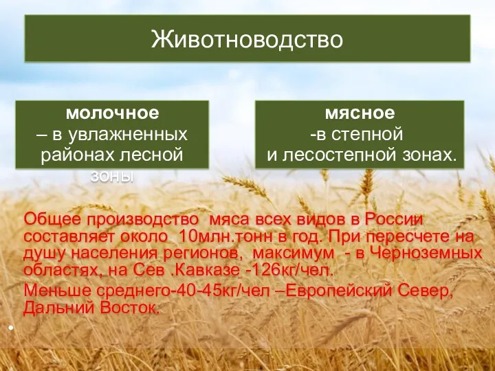 Животноводство Общее производство мяса всех видов в России составляет около 10млн.тонн в год.