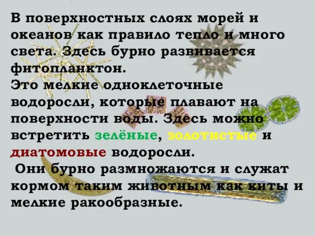 В поверхностных слоях морей и океанов как правило тепло и