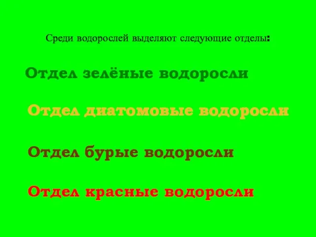 Среди водорослей выделяют следующие отделы: Отдел зелёные водоросли Отдел бурые