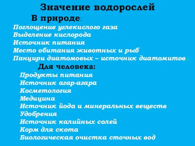 Значение водорослей В природе: Поглощение углекислого газа Выделение кислорода Источник