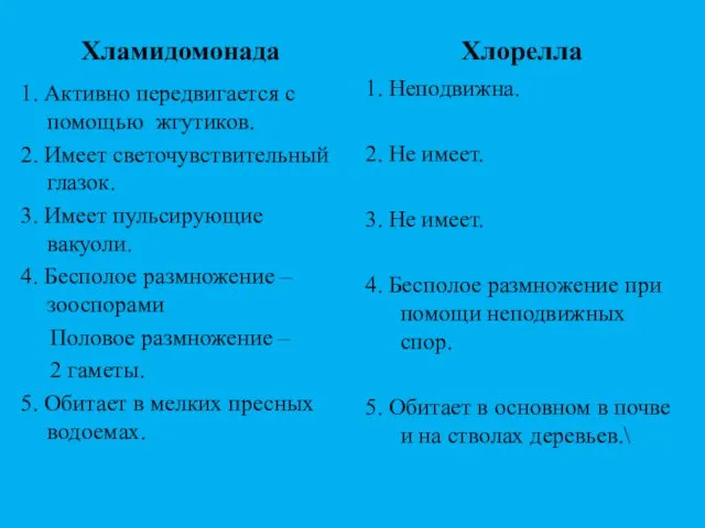 Хламидомонада 1. Активно передвигается с помощью жгутиков. 2. Имеет светочувствительный