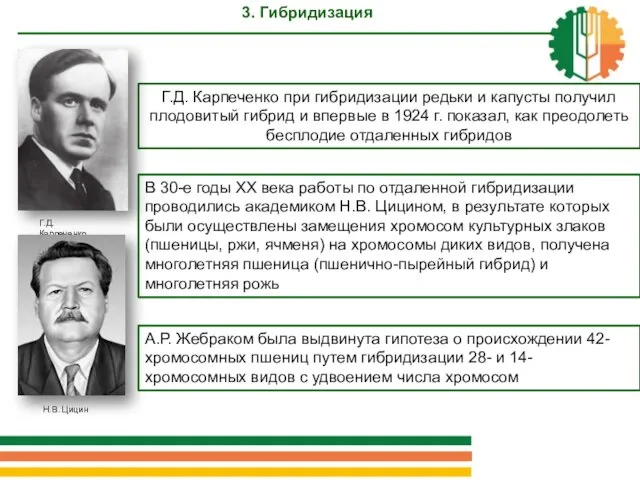 Г.Д. Карпеченко при гибридизации редьки и капусты получил плодовитый гибрид