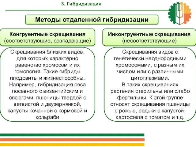 Методы отдаленной гибридизации Скрещивания близких видов, для которых характерно равенство