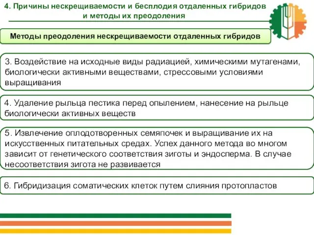 3. Воздействие на исходные виды радиацией, химическими мутагенами, биологически активными