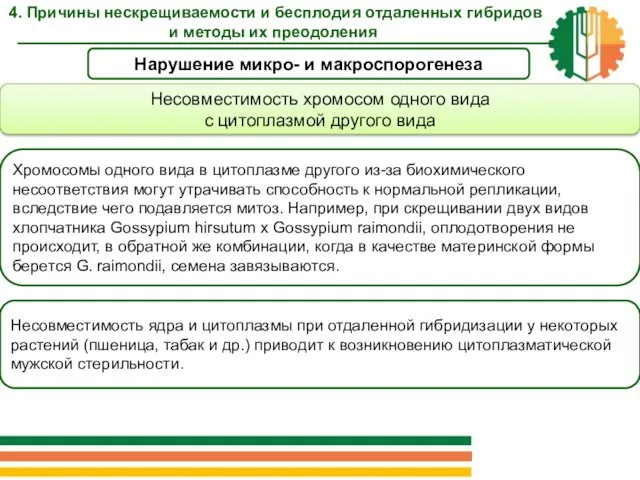 Нарушение микро- и макроспорогенеза Несовместимость хромосом одного вида с цитоплазмой