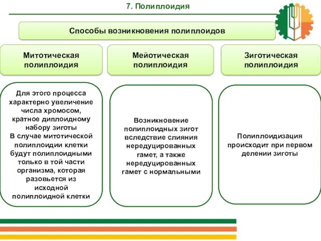 Способы возникновения полиплоидов Митотическая полиплоидия Мейотическая полиплоидия Зиготическая полиплоидия Для