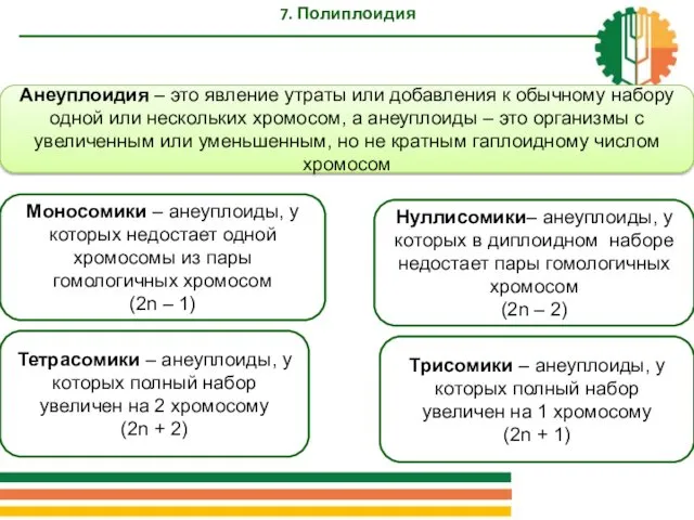 7. Полиплоидия Анеуплоидия – это явление утраты или добавления к