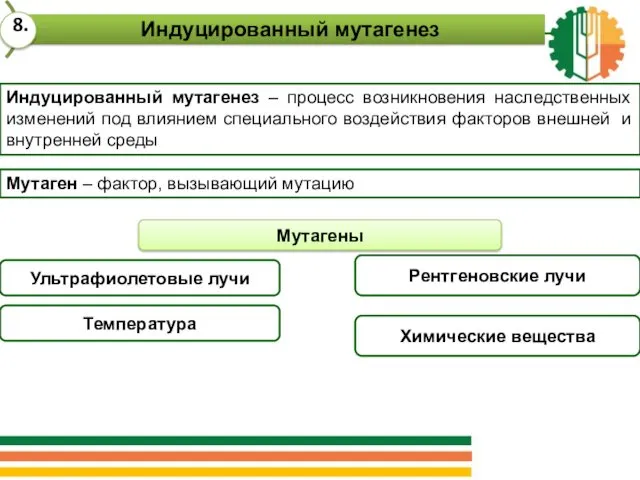 Индуцированный мутагенез – процесс возникновения наследственных изменений под влиянием специального