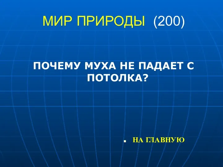 МИР ПРИРОДЫ (200) ПОЧЕМУ МУХА НЕ ПАДАЕТ С ПОТОЛКА? НА ГЛАВНУЮ