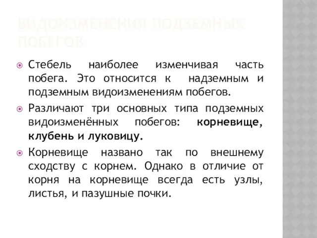 ВИДОИЗМЕНЕНИЯ ПОДЗЕМНЫХ ПОБЕГОВ Стебель наиболее изменчивая часть побега. Это относится