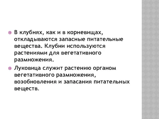 В клубнях, как и в корневищах, откладываются запасные питательные вещества.