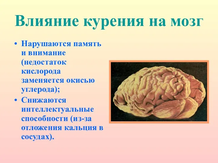 Влияние курения на мозг Нарушаются память и внимание (недостаток кислорода заменяется окисью углерода);