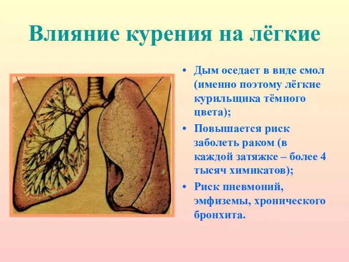 Влияние курения на лёгкие Дым оседает в виде смол (именно