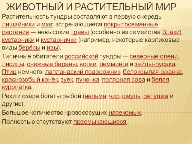 ЖИВОТНЫЙ И РАСТИТЕЛЬНЫЙ МИР Растительность тундры составляют в первую очередь