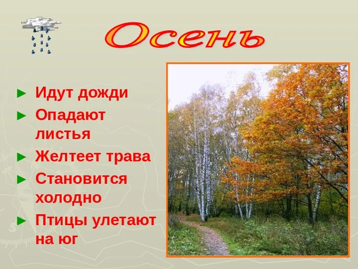 Идут дожди Опадают листья Желтеет трава Становится холодно Птицы улетают на юг Осень