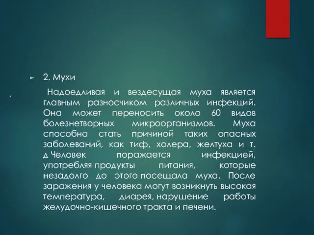 2. Мухи Надоедливая и вездесущая муха является главным разносчиком различных